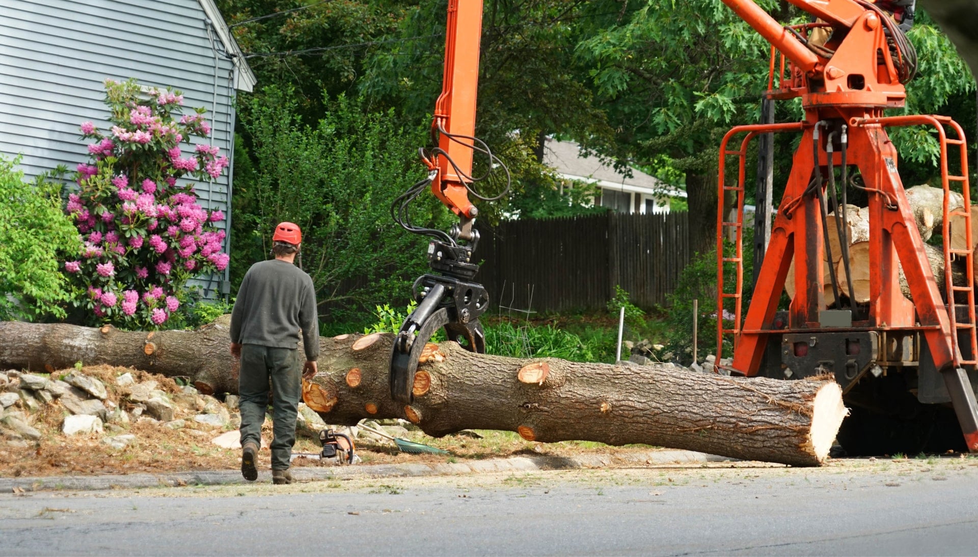 Local partner for Tree removal services in Guilford