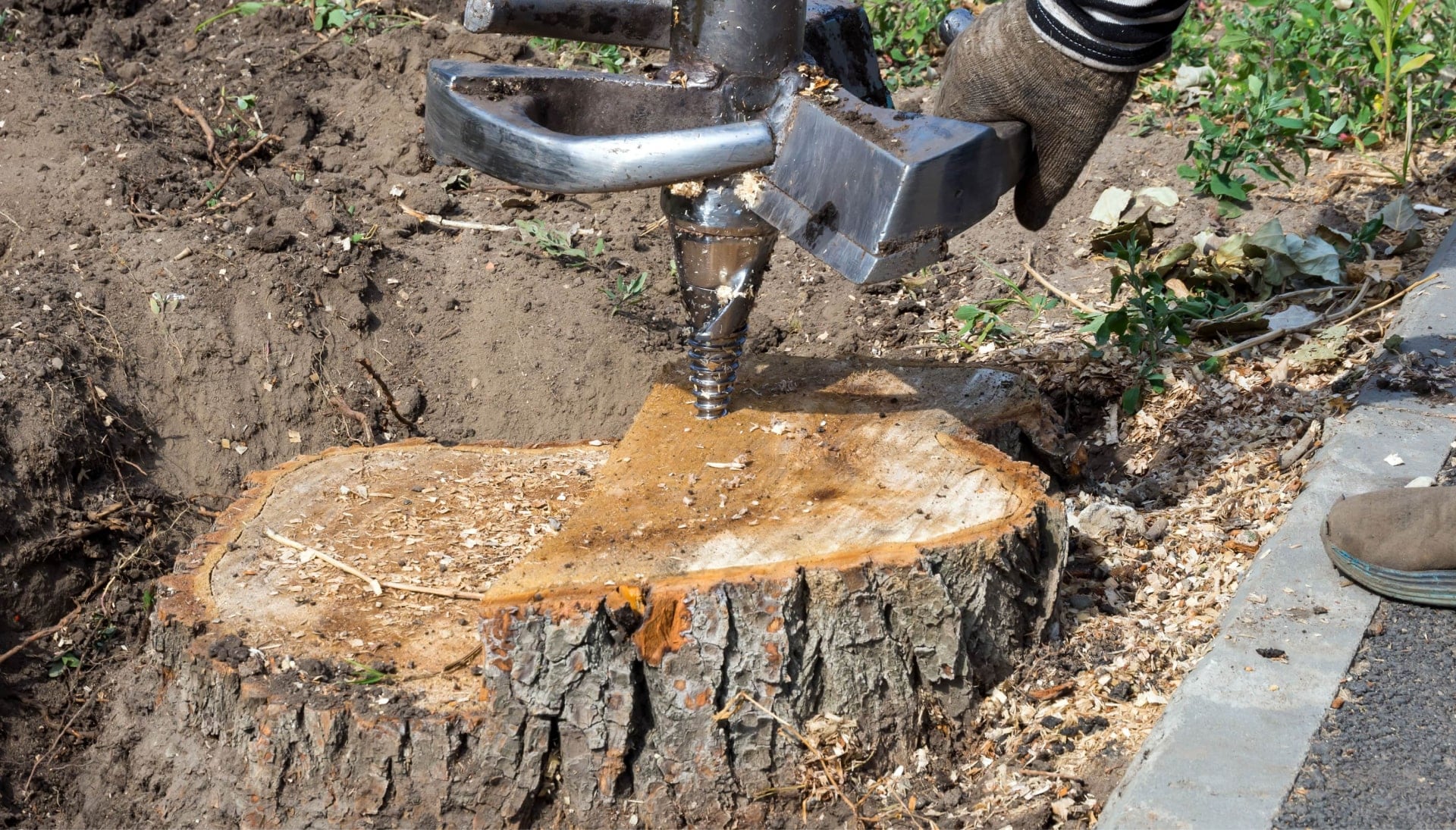 Guilford Tree stump removal